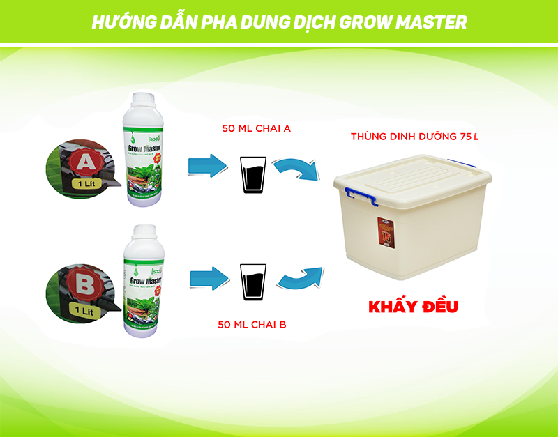 Hướng dẫn pha dung dịch thủy canh Grow Master