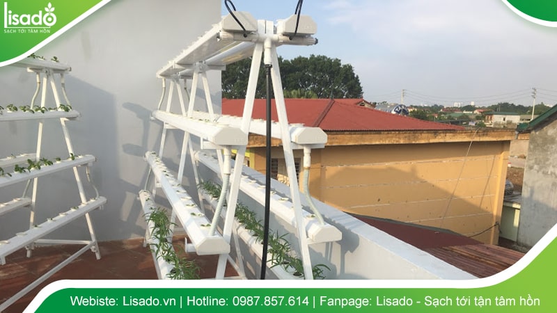 Trồng rau thủy canh tại nhà với không gian sân thượng không có mái che