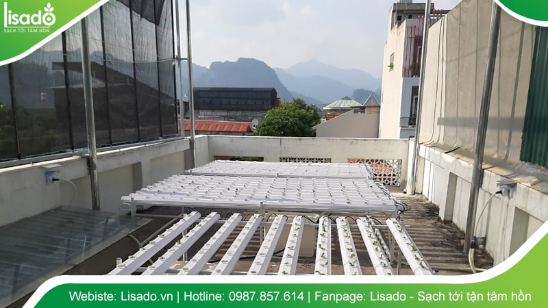 Mẫu giàn phẳng dành cho sân thượng rộng