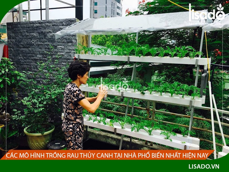 Trồng cây ban công trang trí tiểu cảnh ban công chung cư tại hà nội