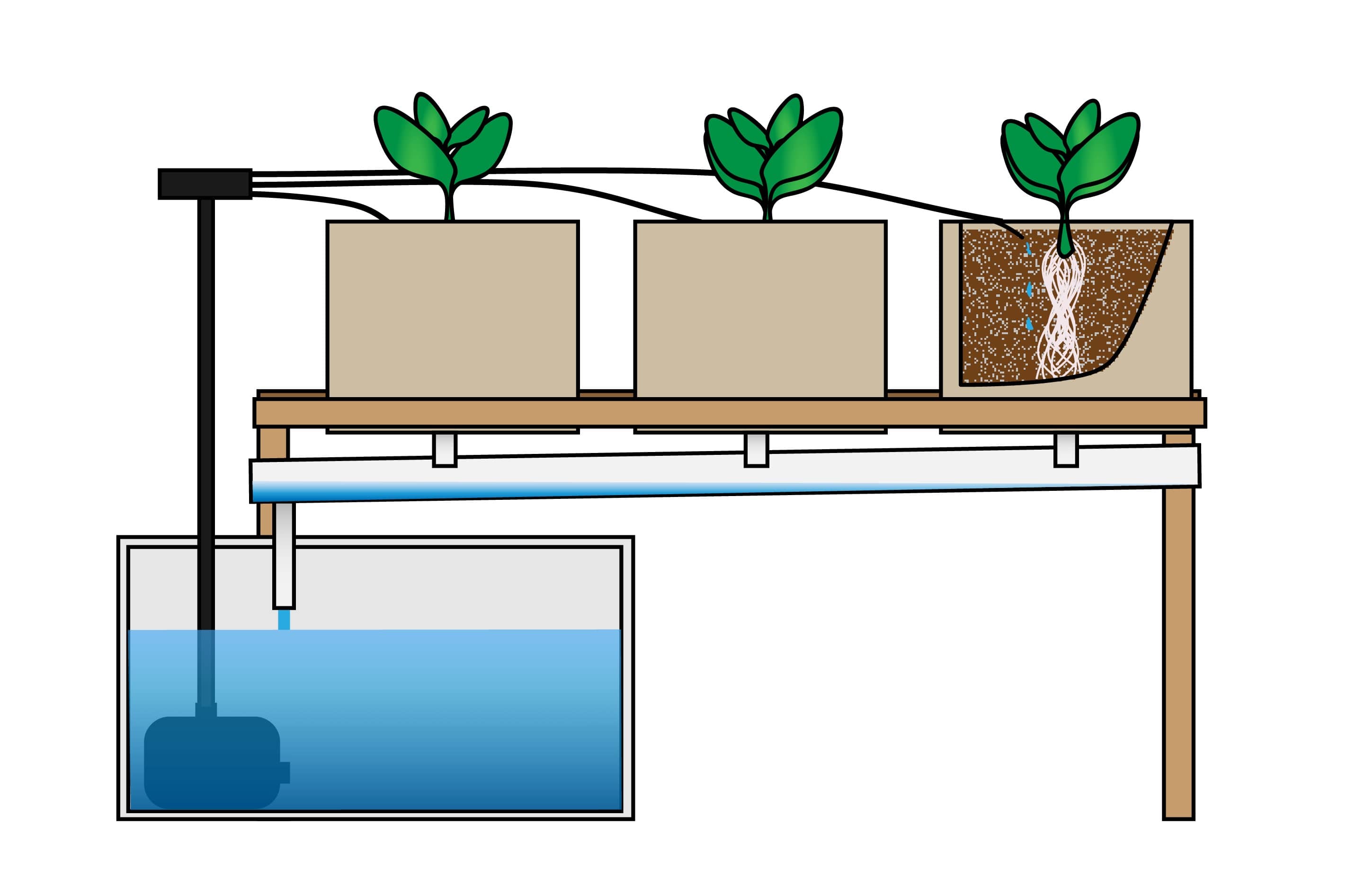 Hệ thống thủy canh nhỏ giọt (Drip hydroponic system)