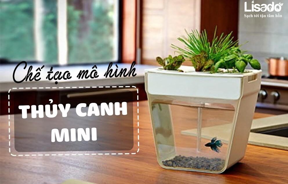 Thủy canh mini
