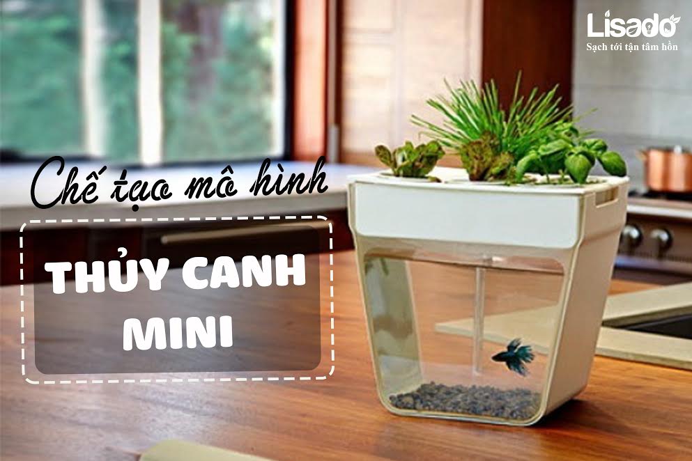 Thủy canh mini