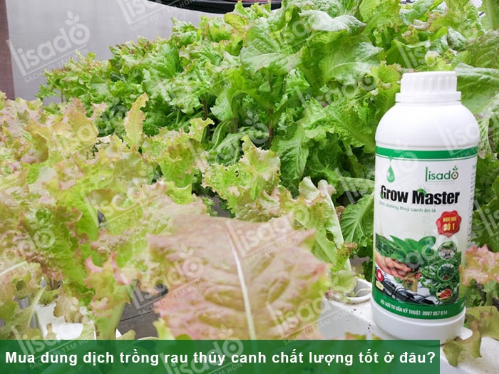 Mua dung dịch trồng rau thủy canh chất lượng. giá tốt ở đâu?