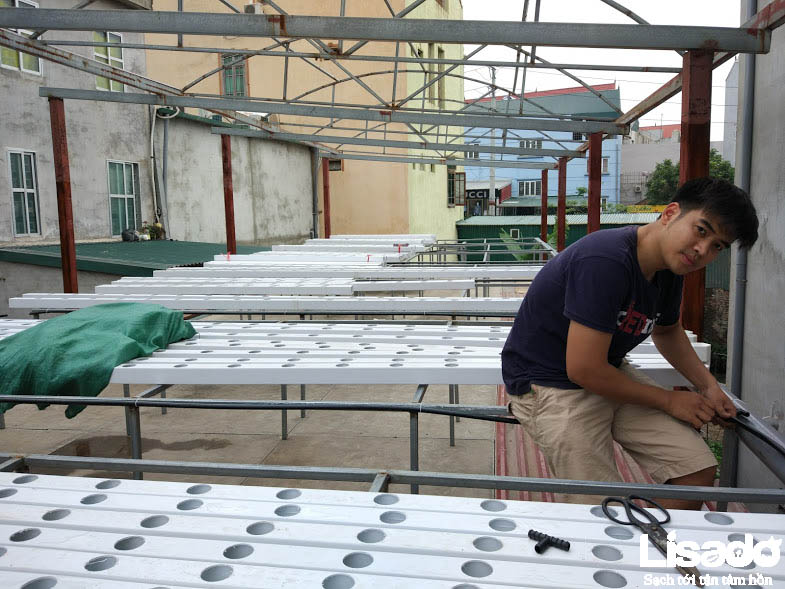 Các bước thực hiện dự án trồng rau thủy canh tại Thị trấn Hương Canh – Vĩnh phúc