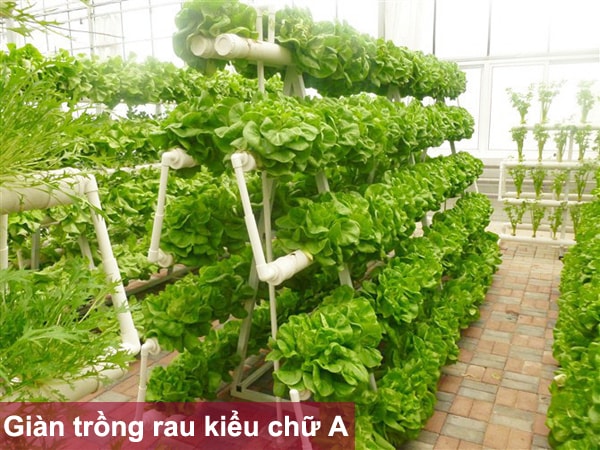 Giàn trồng rau kiểu chữ A