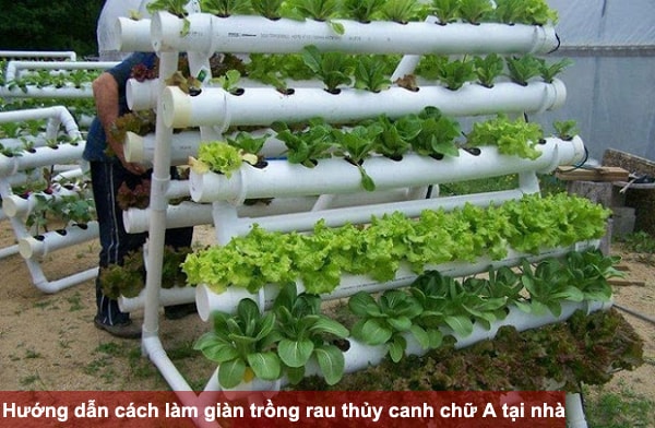 Hướng dẫn cách làm giàn trồng rau thủy canh chữ A