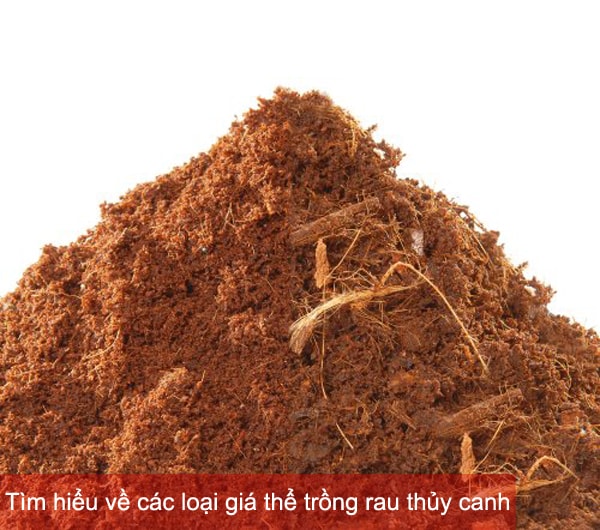 Tìm hiểu về các loại giá thể trồng rau thủy canh