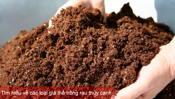 Tìm hiểu về các loại giá thể trồng rau thủy canh