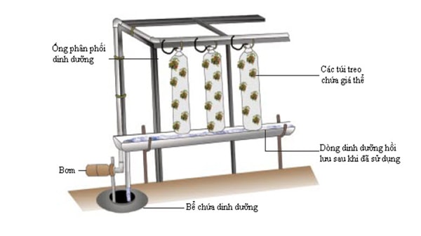 6 kỹ thuật trồng rau thủy canh được ứng dụng phổ biến hiện nay