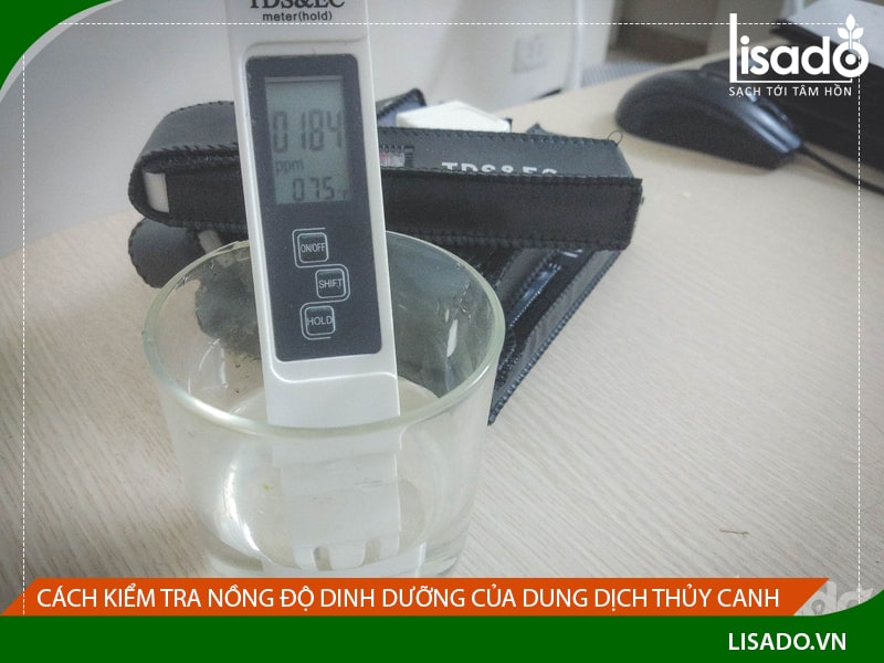 Cách kiểm tra nồng độ dinh dưỡng của dung dịch thủy canh