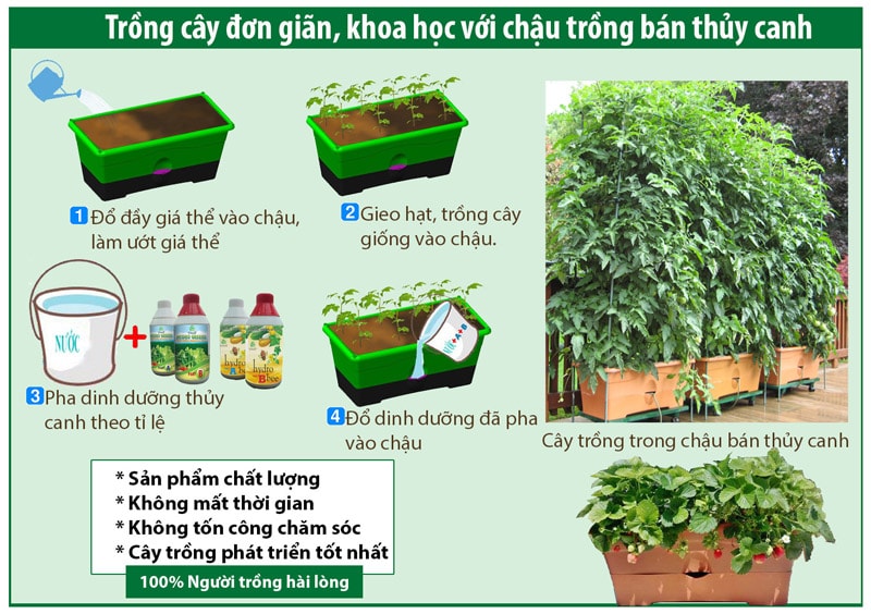 Tìm hiểu phương pháp trồng rau bán thủy canh đạt năng suất cao