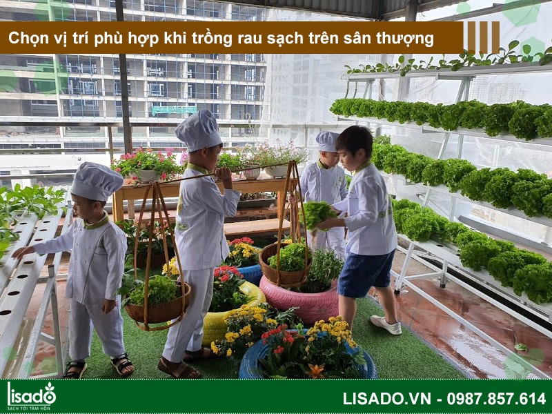 Chọn vị trí phù hợp khi trồng rau sạch trên sân thượng