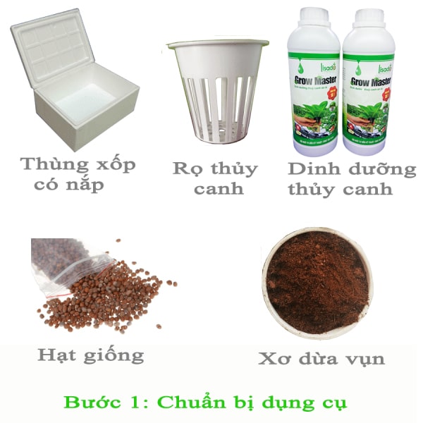 Hướng dẫn trồng rau thủy canh tĩnh chỉ với 200,000đ