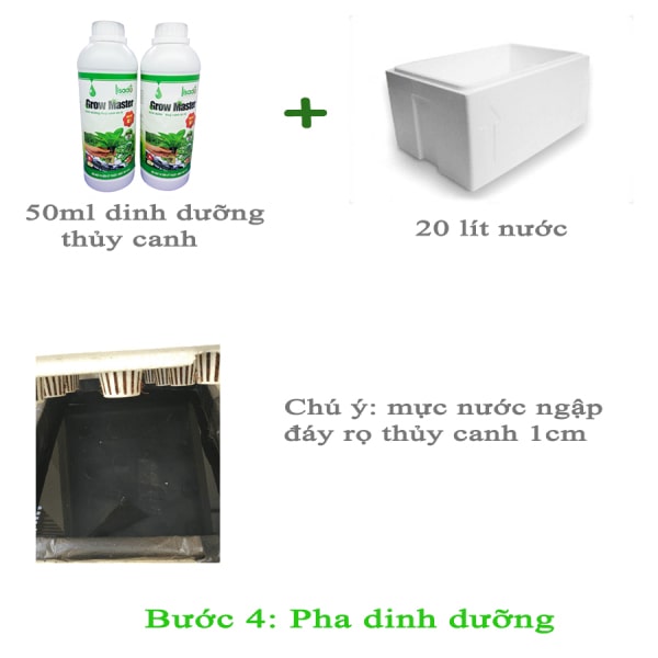 Hướng dẫn trồng rau thủy canh tĩnh chỉ với 200,000đ