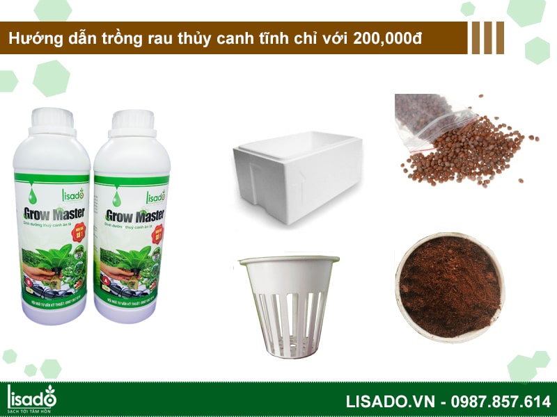 Hướng dẫn trồng rau thủy canh tĩnh chỉ với 200,000đ