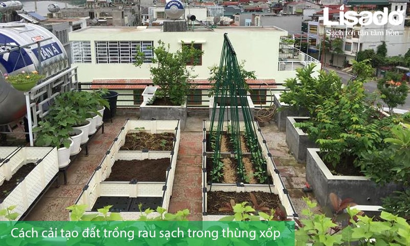 Gợi ý cách cải tạo đất trồng rau sạch trong thùng xốp