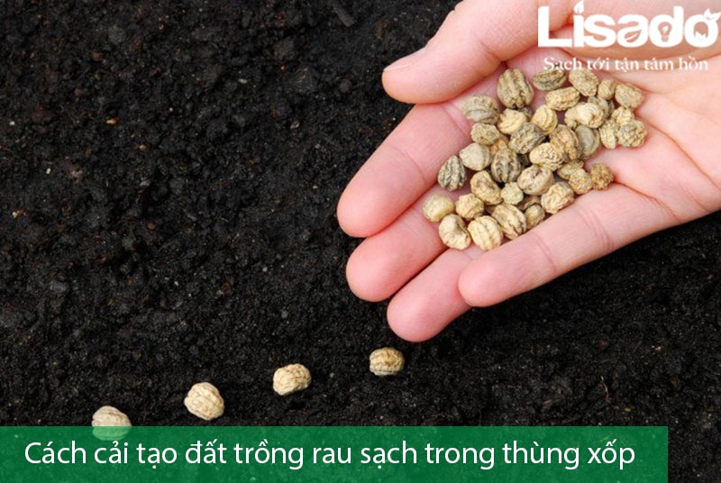 Gợi ý cách cải tạo đất trồng rau sạch trong thùng xốp