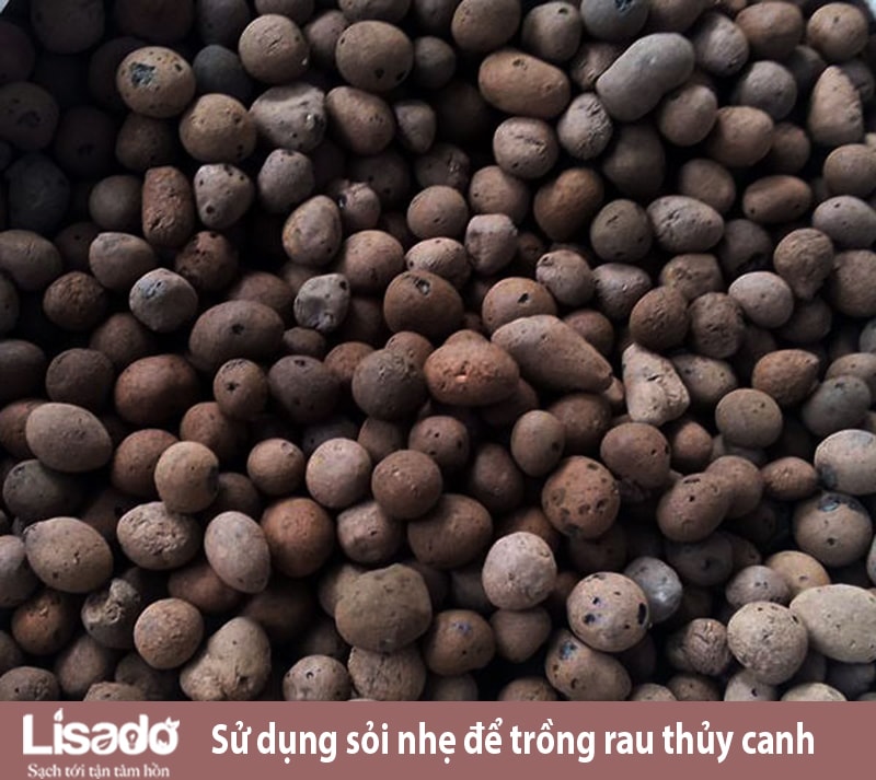 sỏi nhẹ trồng cây