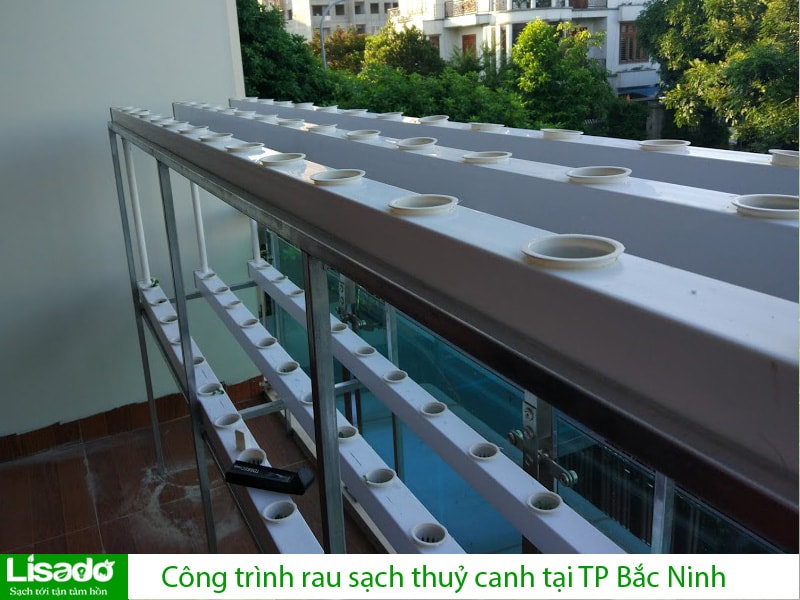 Công trình rau sạch thuỷ canh tại TP Bắc Ninh