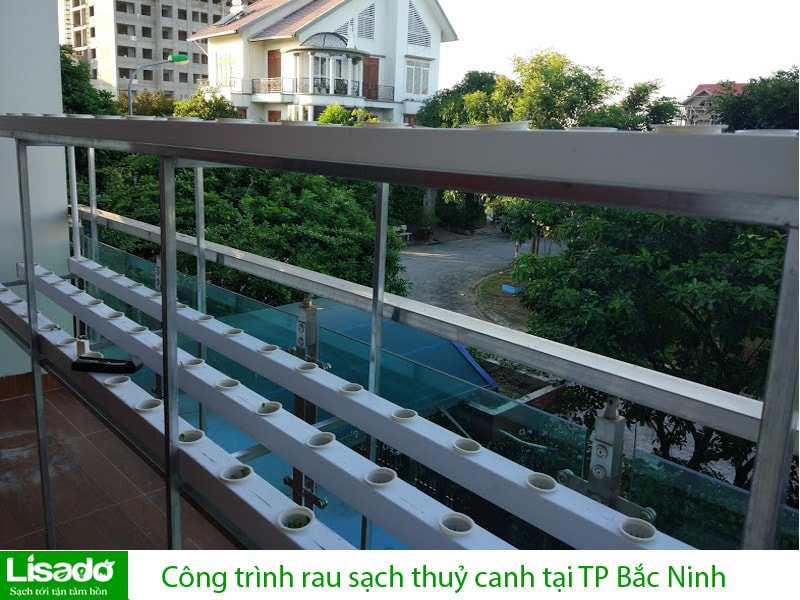 Công trình rau sạch thuỷ canh tại TP Bắc Ninh