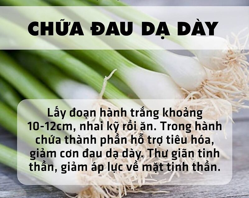 Trồng rau sạch tại nhà: loại rau gì tốt cho người mắc bệnh dạ dày?