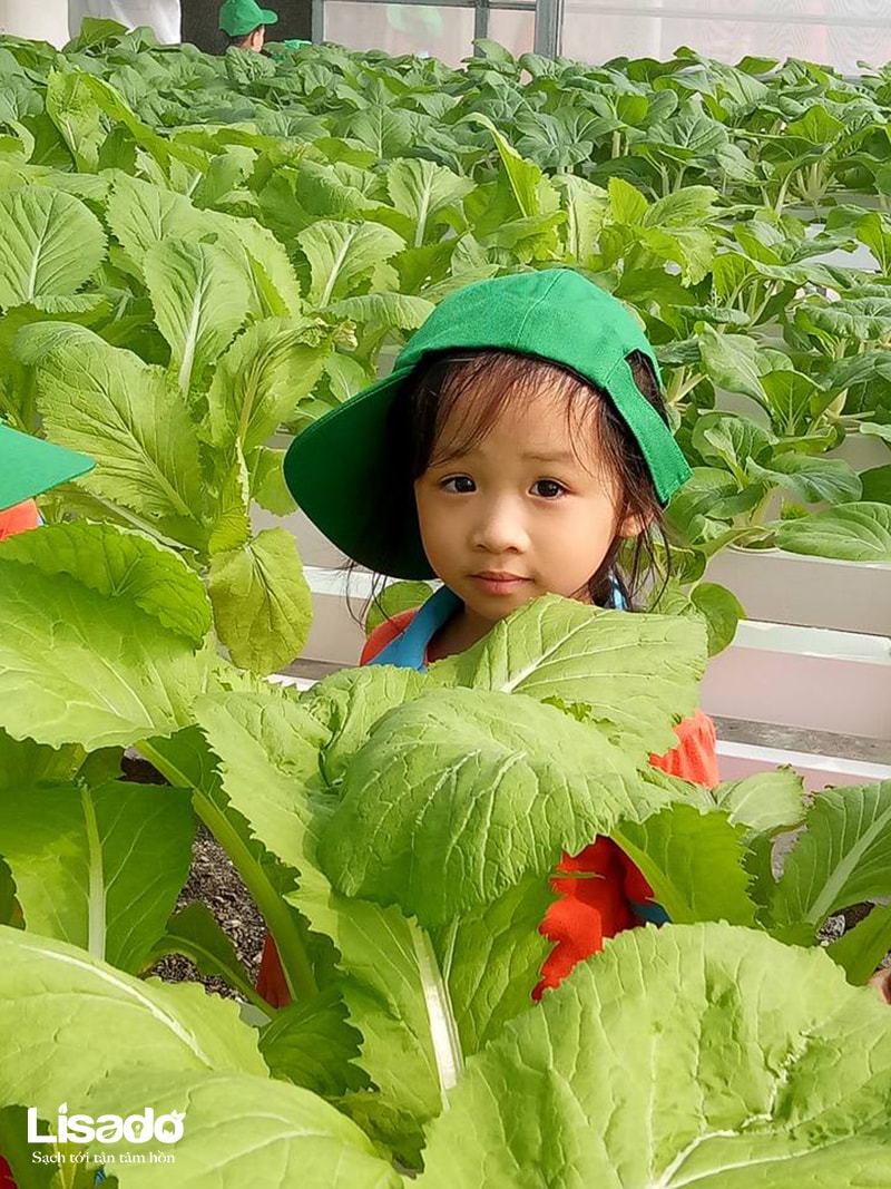 Nông dân trẻ Nguyễn Du Garden đi dã ngoại với mô hình trồng rau thủy canh