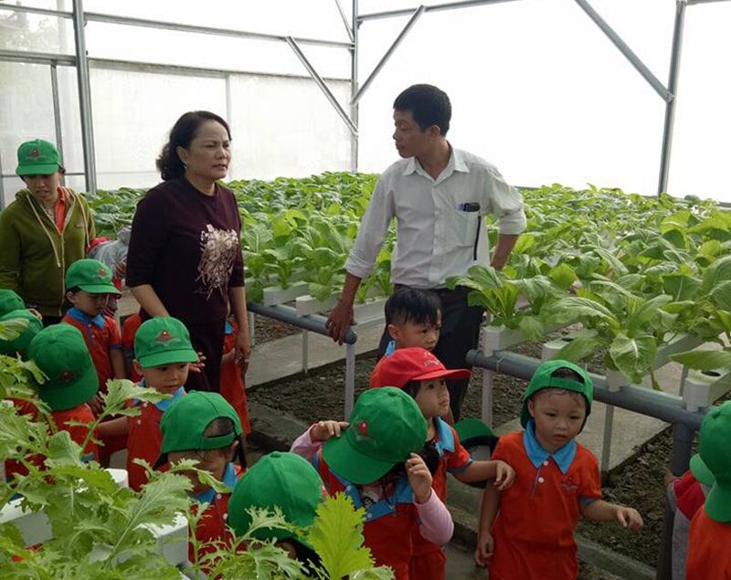 Các nông dân nhí trường mầm non Nguyễn Du đi dã ngoại mô hình trồng rau thủy canh