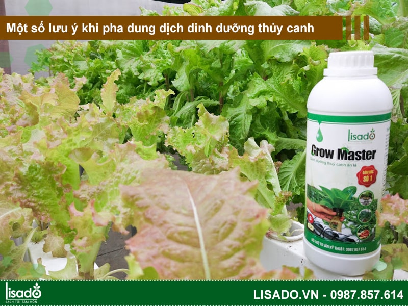 Một số lưu ý khi pha dung dịch dinh dưỡng thủy canh