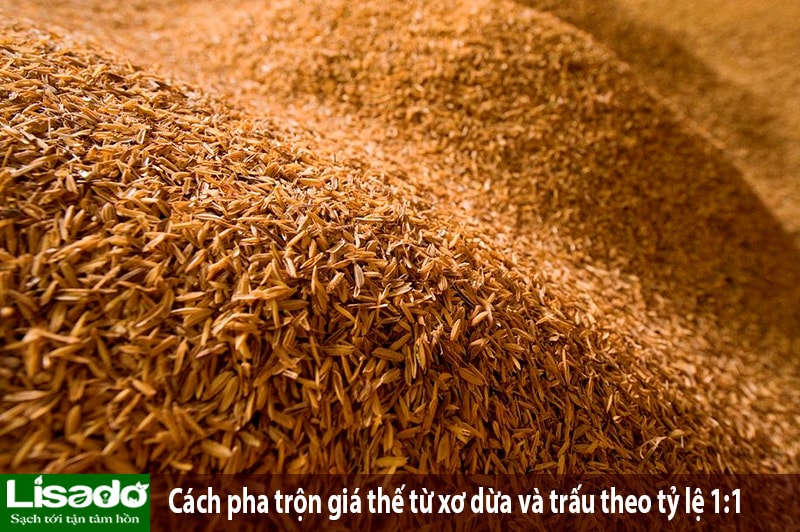 Trồng rau xà lách thủy canh trên giá thể nào là tốt nhất?