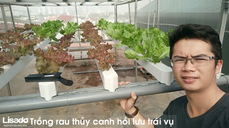 Trồng rau thủy canh trái vụ theo phương pháp thủy canh hồi lưu