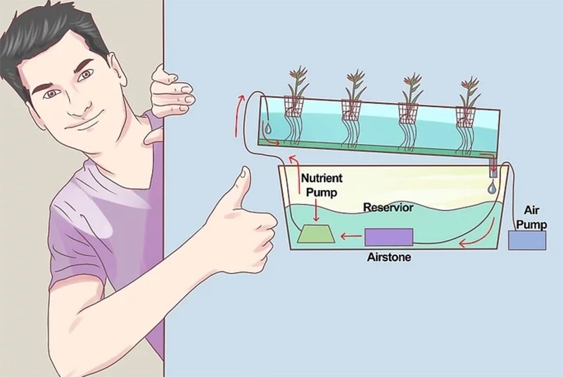 4 bước xây dựng hệ thống thủy canh tại nhà với chi phí thấp