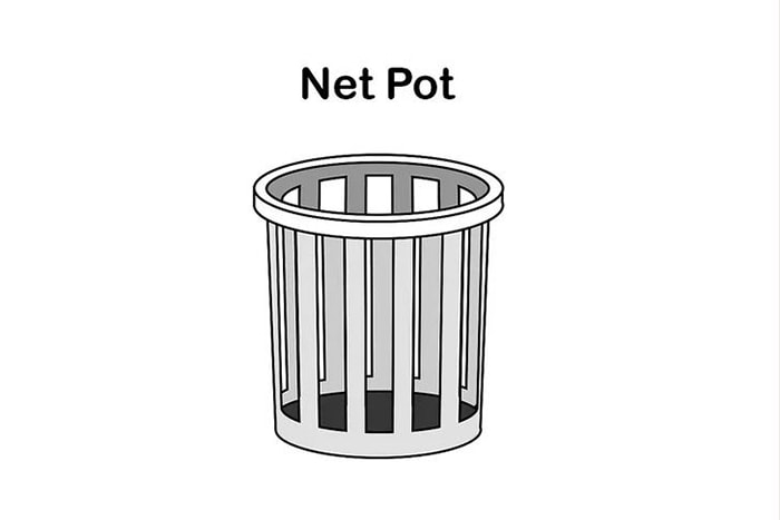 Phương pháp trồng rau xà lách thủy canh từ A-Z cho người mới bắt đầu