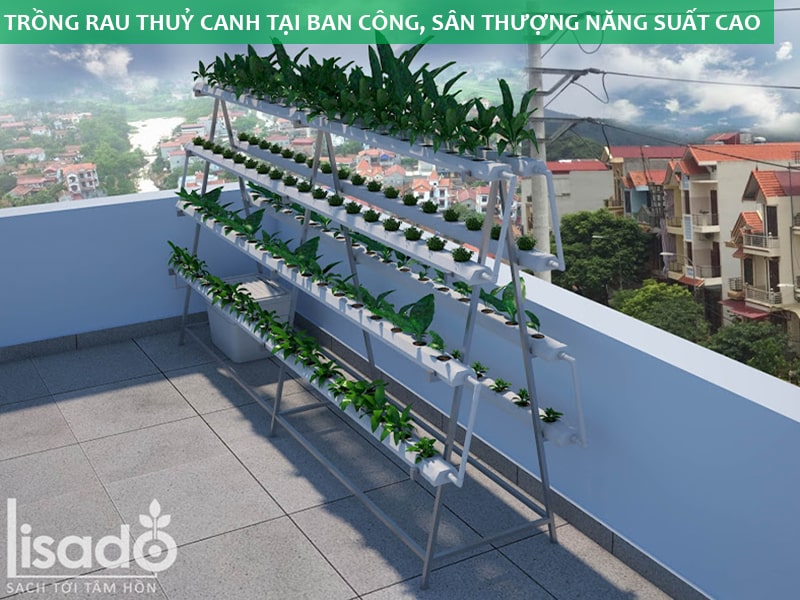 Cách trồng  chọn mô hình trồng rau trên sân thượng sao cho hiệu quả
