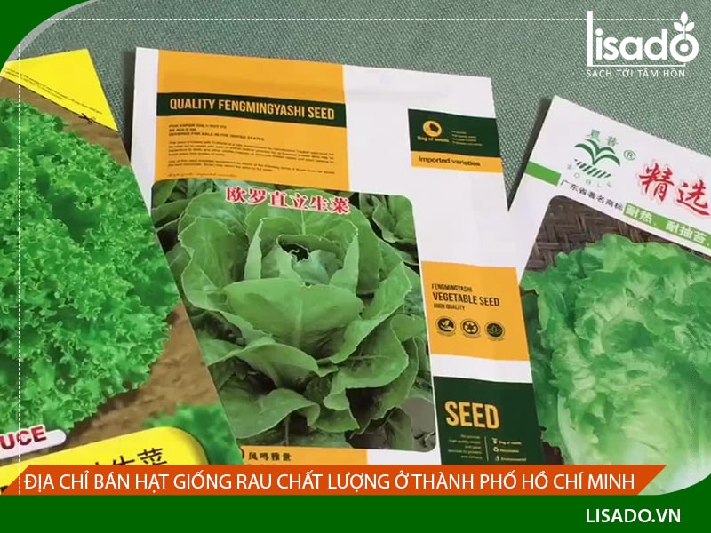 Địa chỉ bán hạt giống rau chất lượng ở Thành phố Hồ Chí Minh