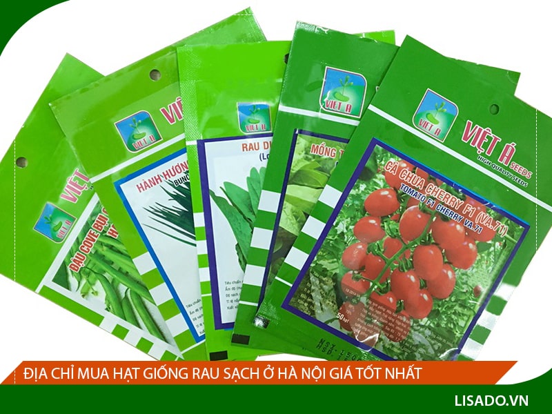 Địa chỉ mua hạt giống rau sạch ở Hà Nội giá tốt nhất