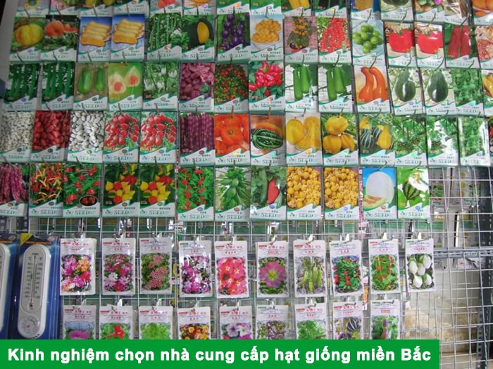 Kinh nghiệm chọn nhà cung cấp hạt giống miền Bắc