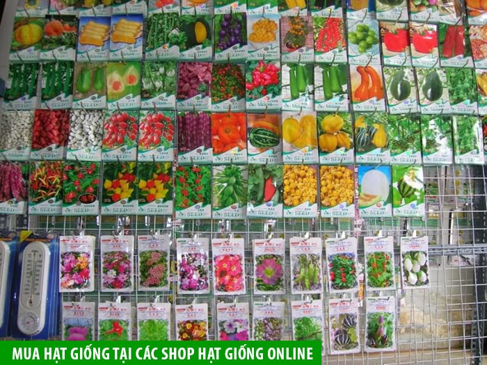 Mua hạt giống tại các shop hạt giống online