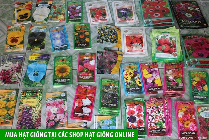 Mua hạt giống tại các shop hạt giống online