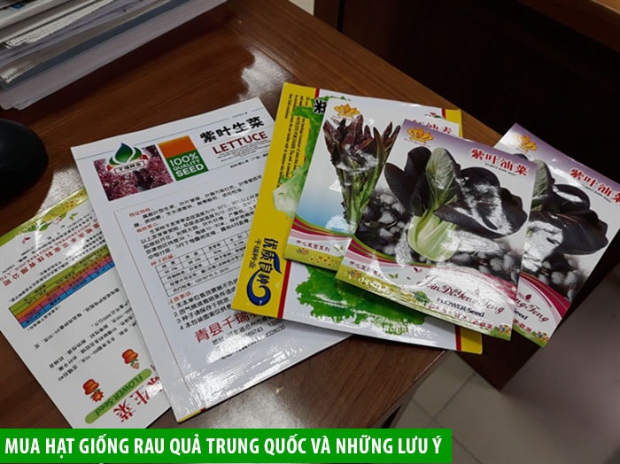 Mua hạt giống rau quả Trung Quốc và những lưu ý