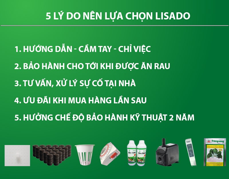 5 lý do nên chọn lisado khi thiết kế giàn thủy canh