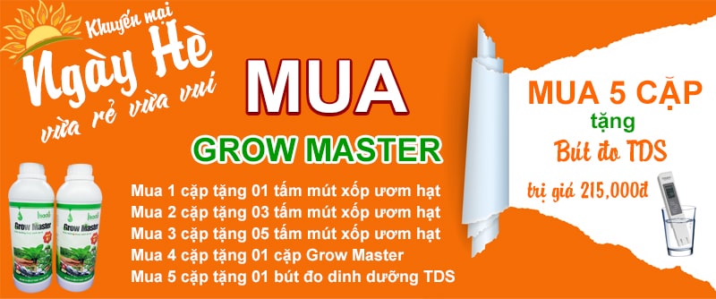 Dung dịch thuỷ canh Grow Master cặp 2 lít cho rau ăn lá | Tặng bút đo TDS 215,000đ