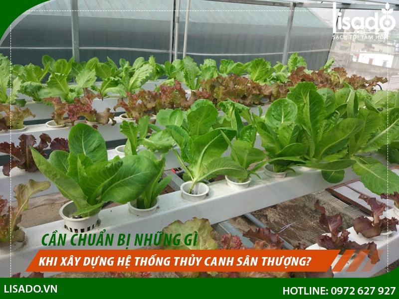 Cần chuẩn bị những gì khi xây dựng hệ thống thủy canh sân thượng?