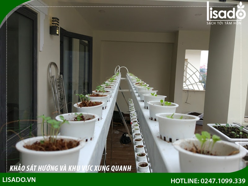 Cần chuẩn bị gì trước khi trồng phương pháp thuỷ canh