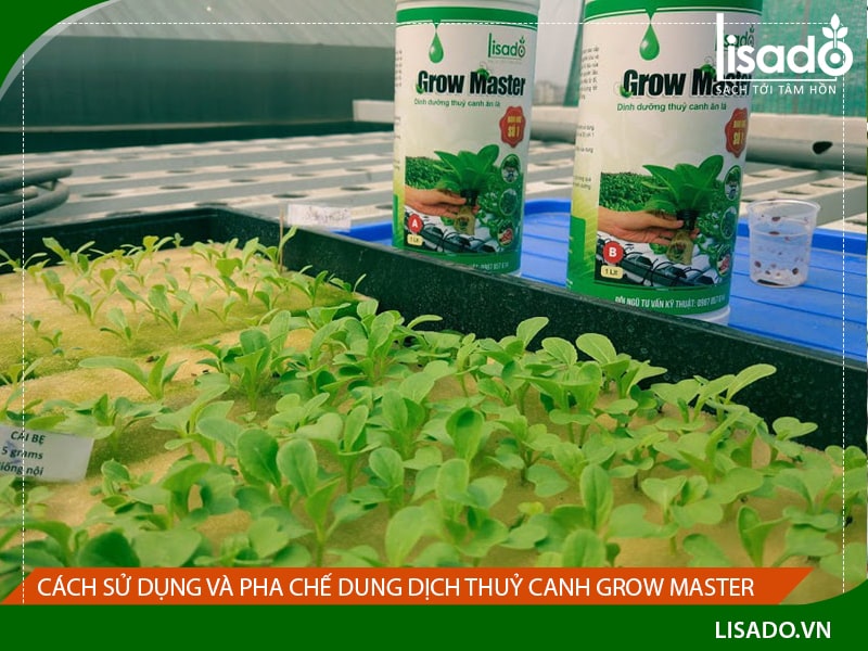 Cách sử dụng và pha chế dung dịch thuỷ canh Grow Master