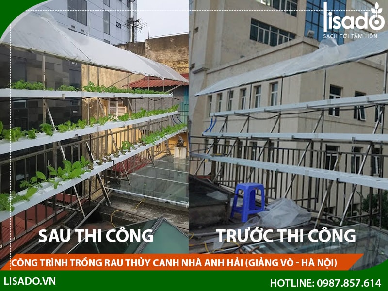 Công trình trồng rau thủy canh nhà anh Hải tại Giảng Võ - Hà Nội