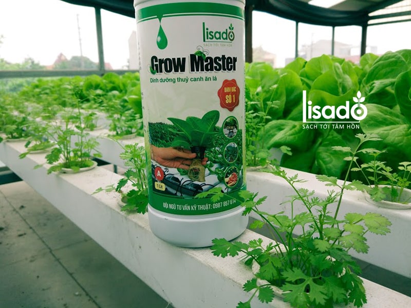 Vì sao nên chọn Grow Master?