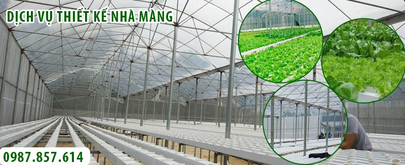 Thi Công – Thiết Kế Nhà Màng