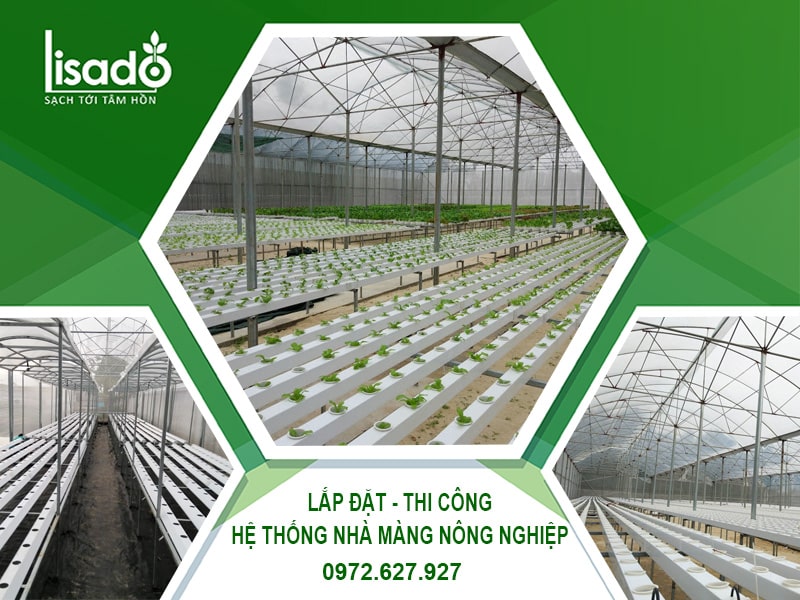 Thi công - thiết kế nhà màng nông nghiệp công nghệ cao