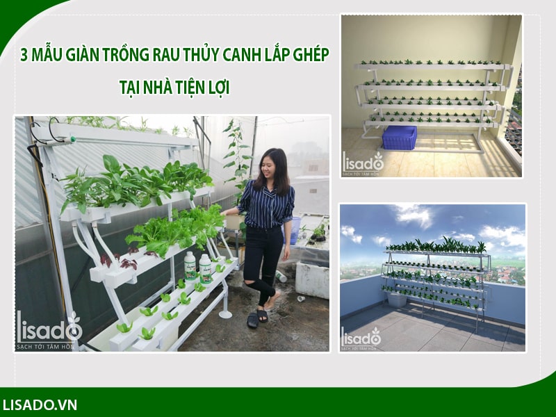 3 mẫu giàn trồng rau thủy canh lắp ghép tại nhà đơn giản